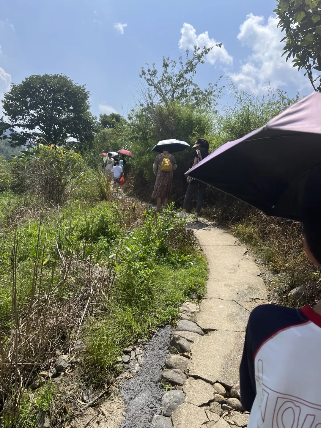 同一个村子，一半人说再也不去，一半人说还想去：翻完8月的乡村游踩雷帖，我整理出5个坑和1份清单