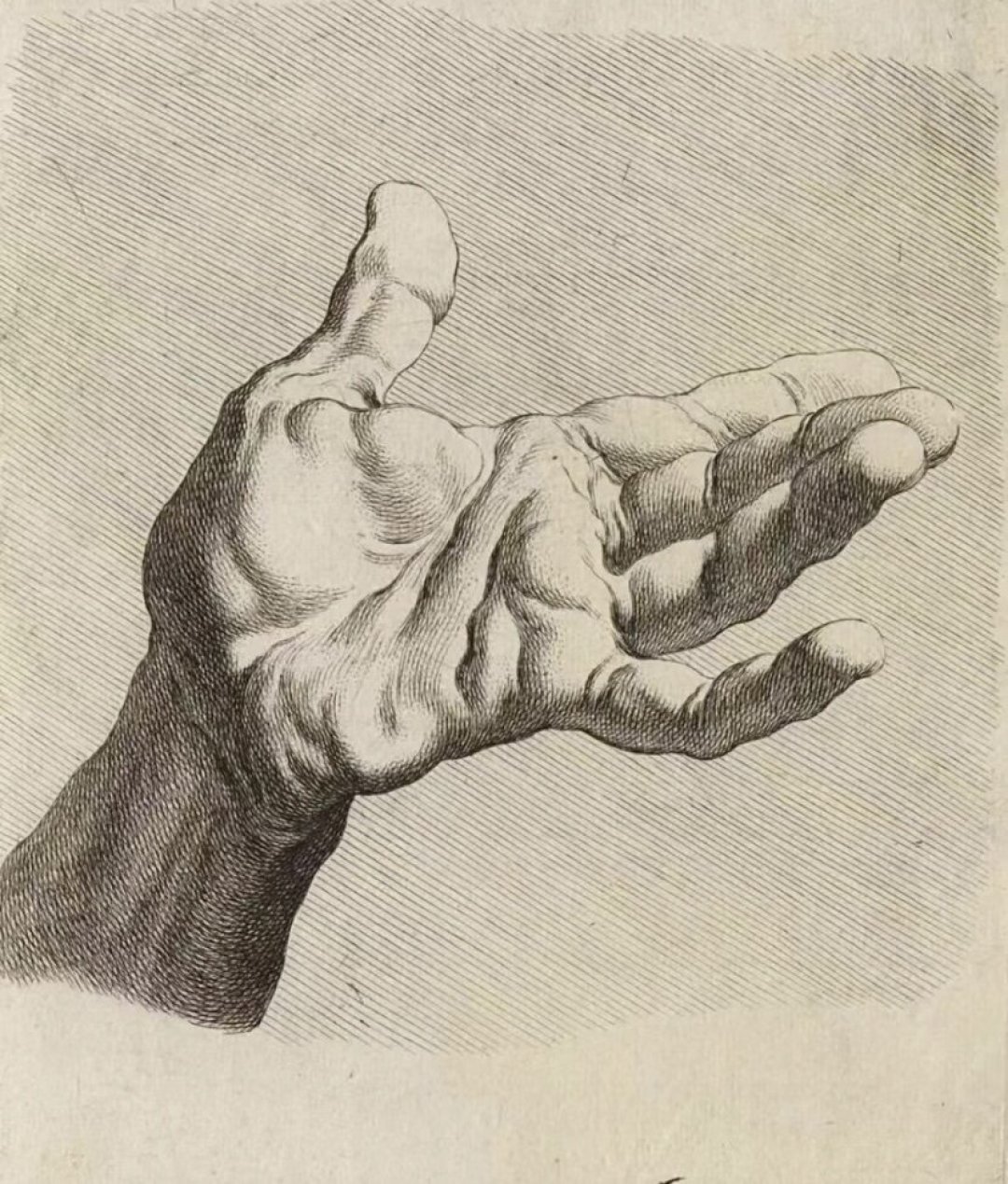 别拿AI图当临摹素材：静物素描自学者的素材避坑与进阶清单