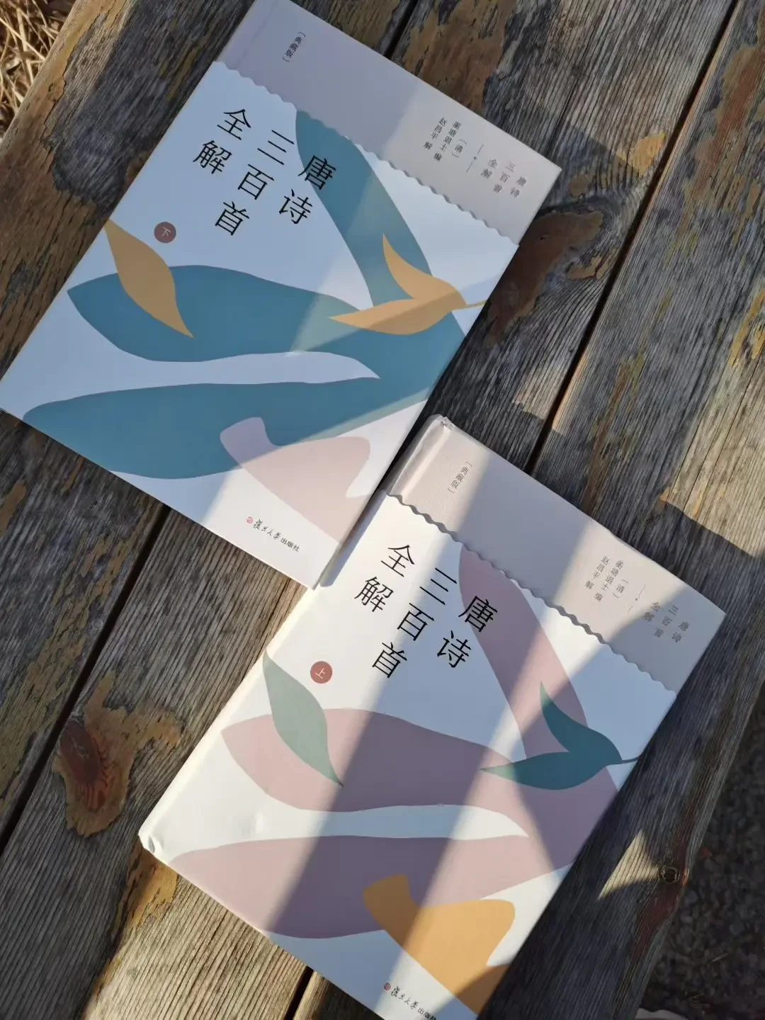 初中必读名著12本换了:删3本、加3本、调3本,每本买哪个版本一次说清