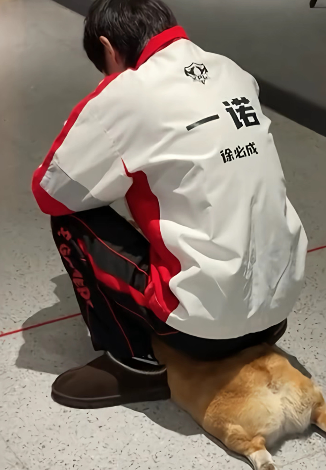 戈娅先重做，皮肤后登场：一诺的FMVP皮肤还要等多久、怎么买不亏