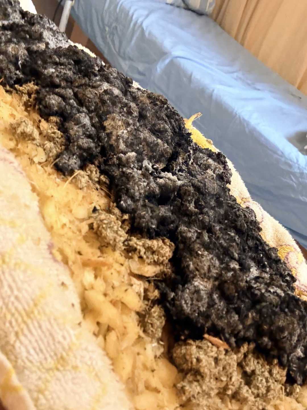 出伏只剩2天，三伏贴还没贴？先分清自己是“寒”还是“热”，再决定花不花这笔钱
