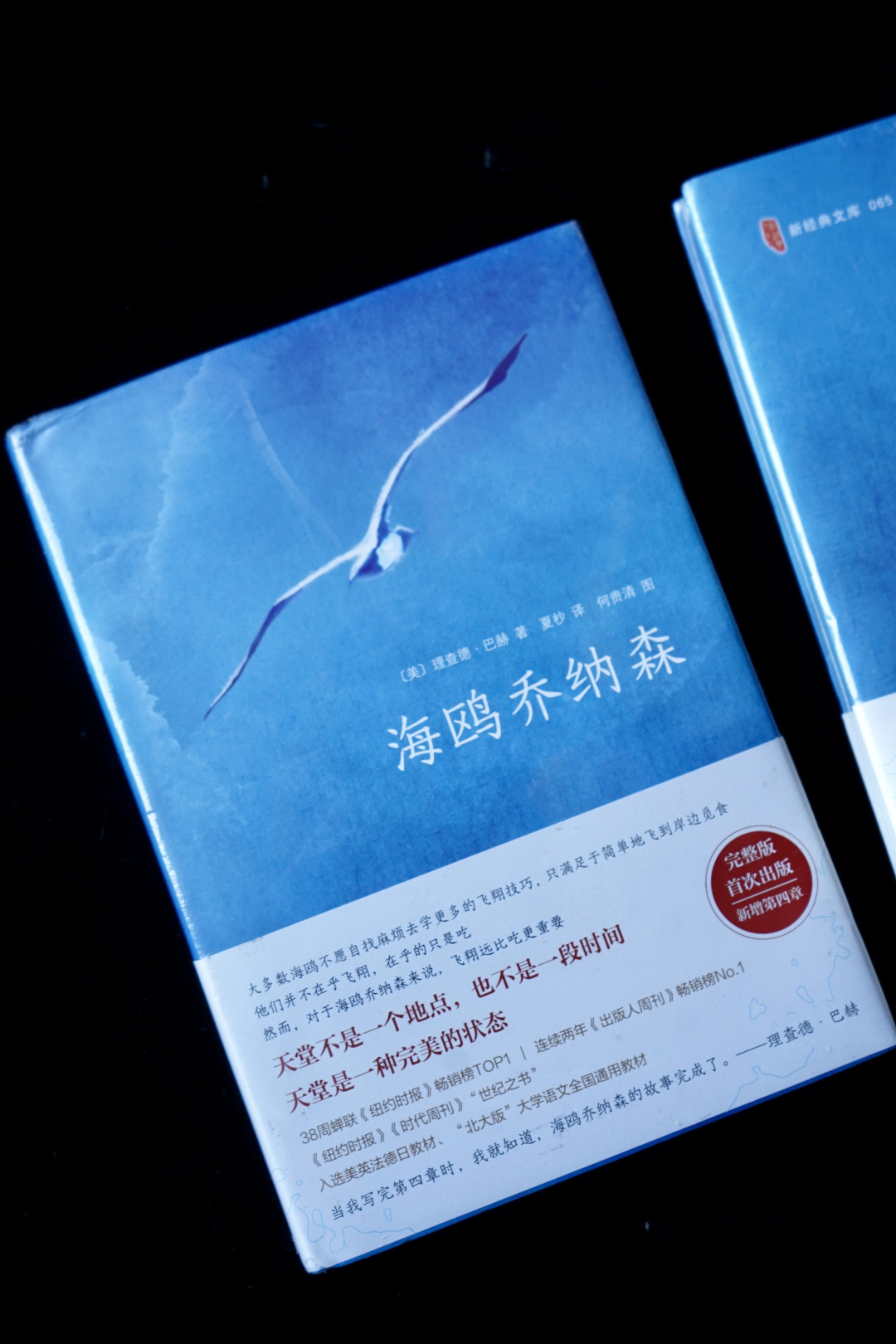 迈克尔·杰克逊把它送给科比,但《海鸥乔纳森》最狠的一笔,藏在很多人没读过的第四部