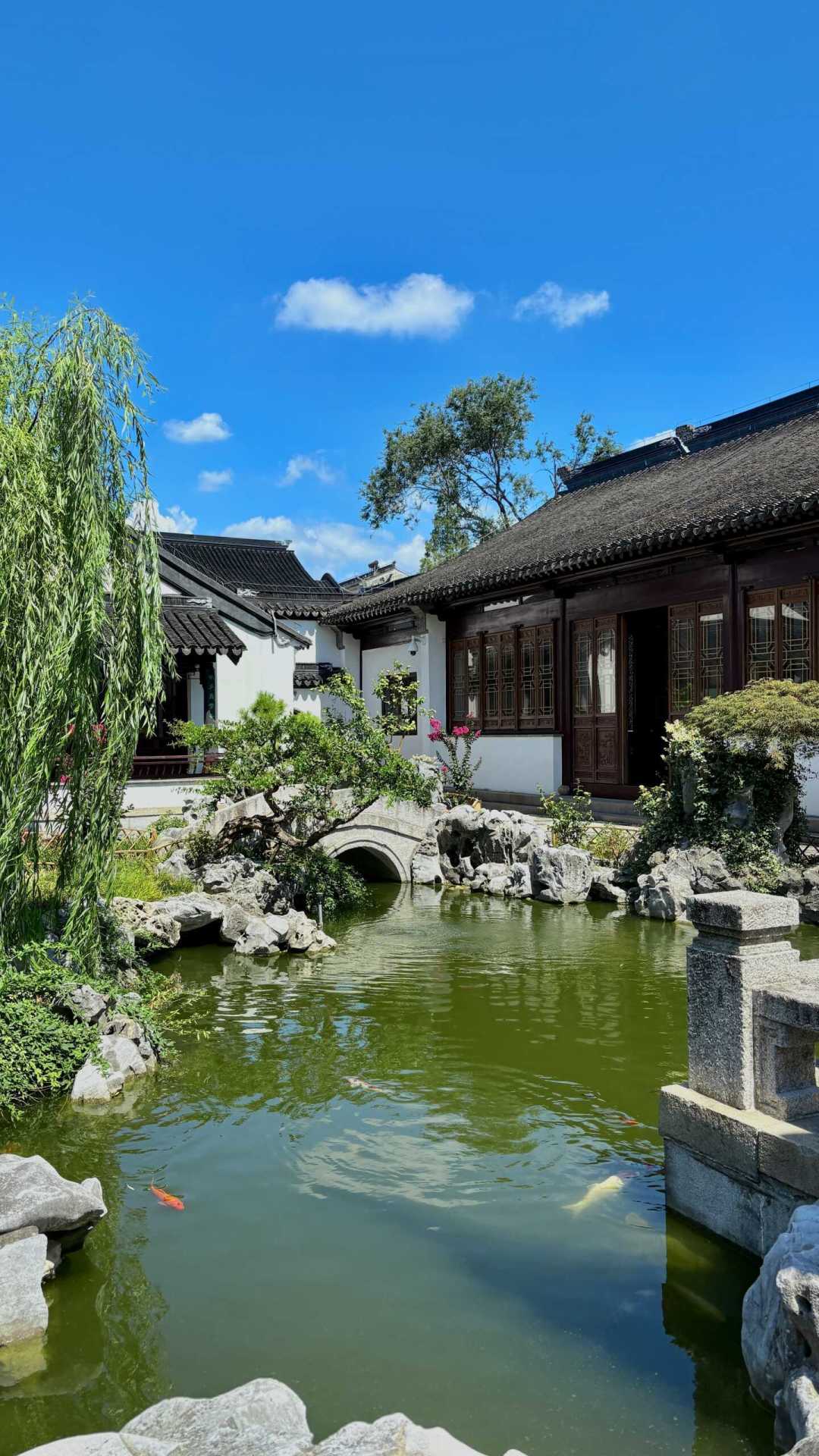 一张拙政园门票换四座清静园子：0元到80元三档路线的苏州园林避峰指南