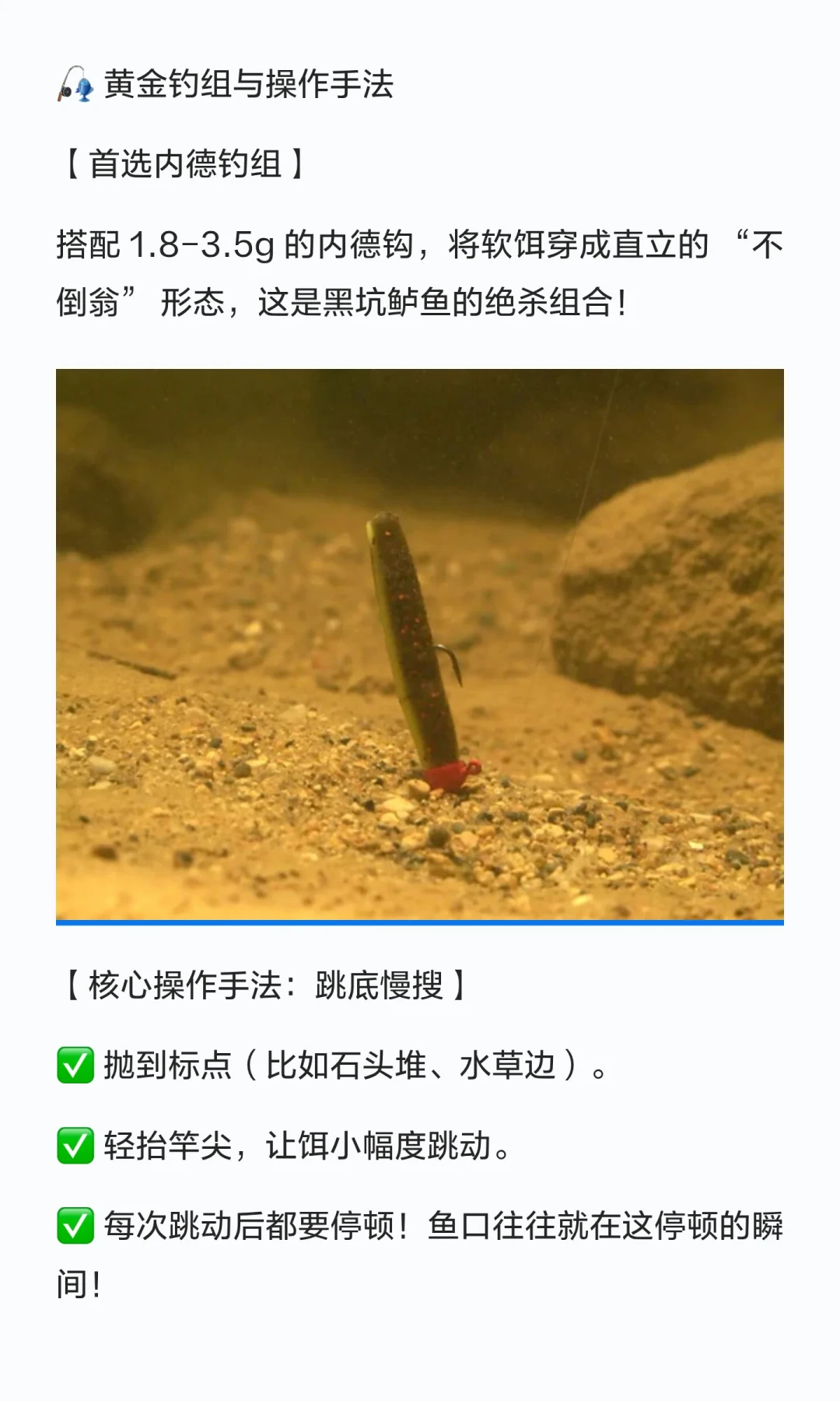内德钓组:破龟神器还是空军陷阱?两种场景、四个错误和一张钓组决策清单