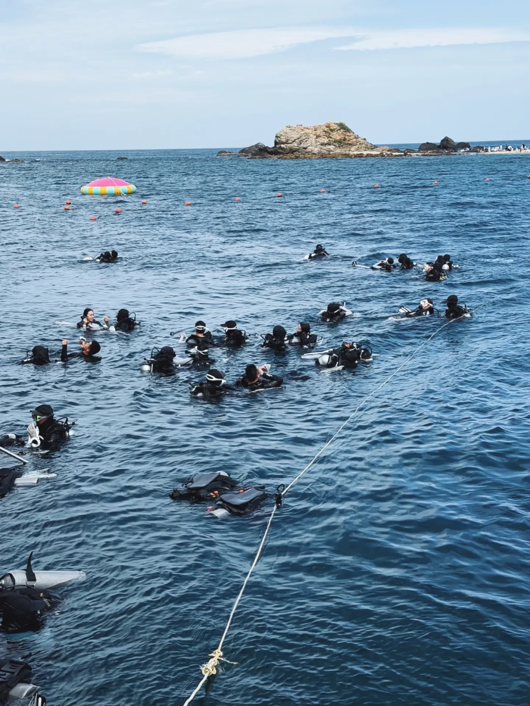 213人投票,193人选“不会去”:还想在三亚潜水的人,把渠道和价格的真相看完