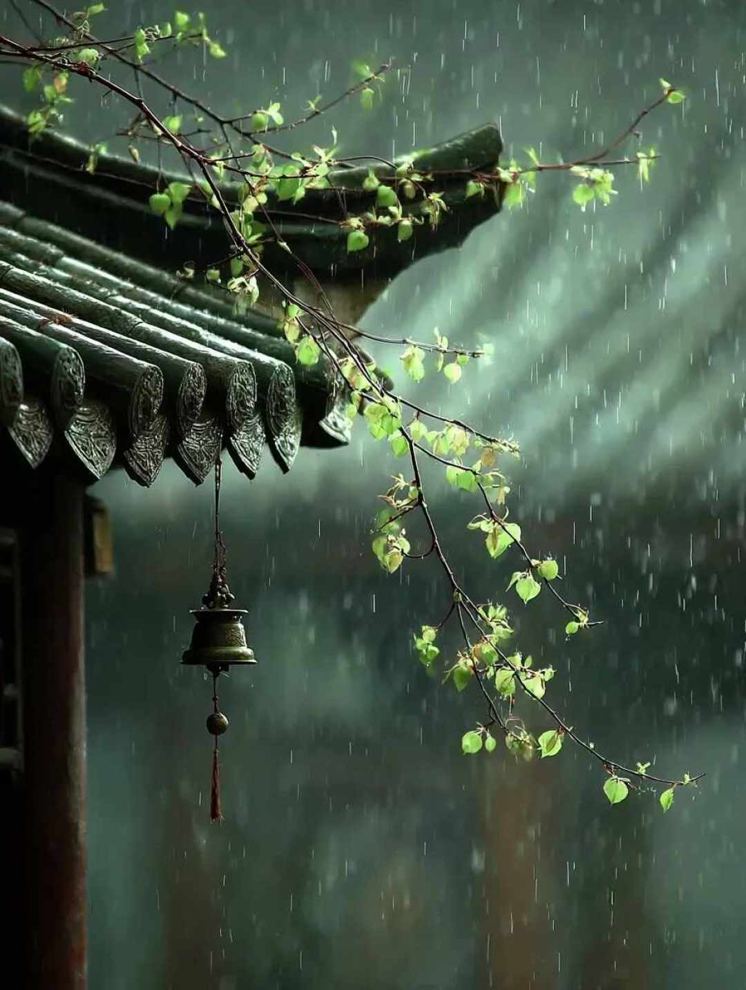 景区国风旅拍别急着付钱:我们从几十条避坑帖里扒出了四个通用套路