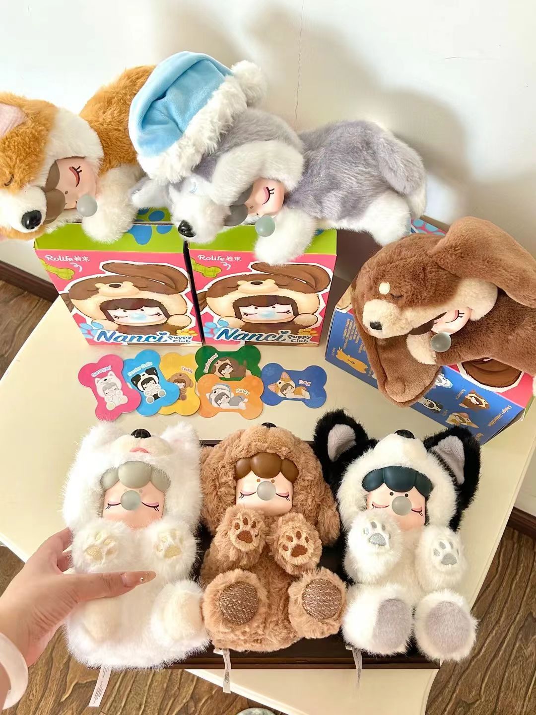 Nanci狗狗俱乐部发售满月:常规款二手已跌破零售价,怎么买最划算