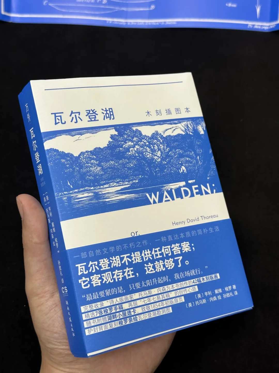 李娟说她讨厌
