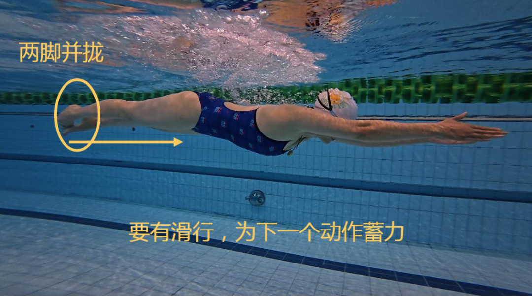 蛙泳教学帖评论区最高赞是