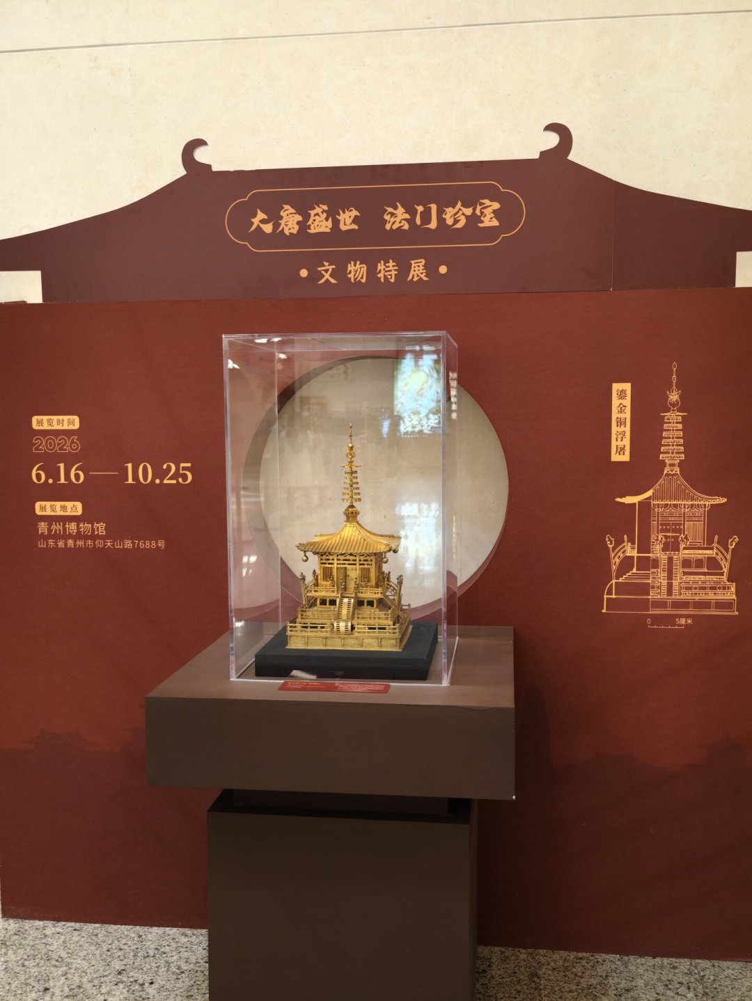 约不上青州博物馆?这张59元的特展票,是暑期最后的