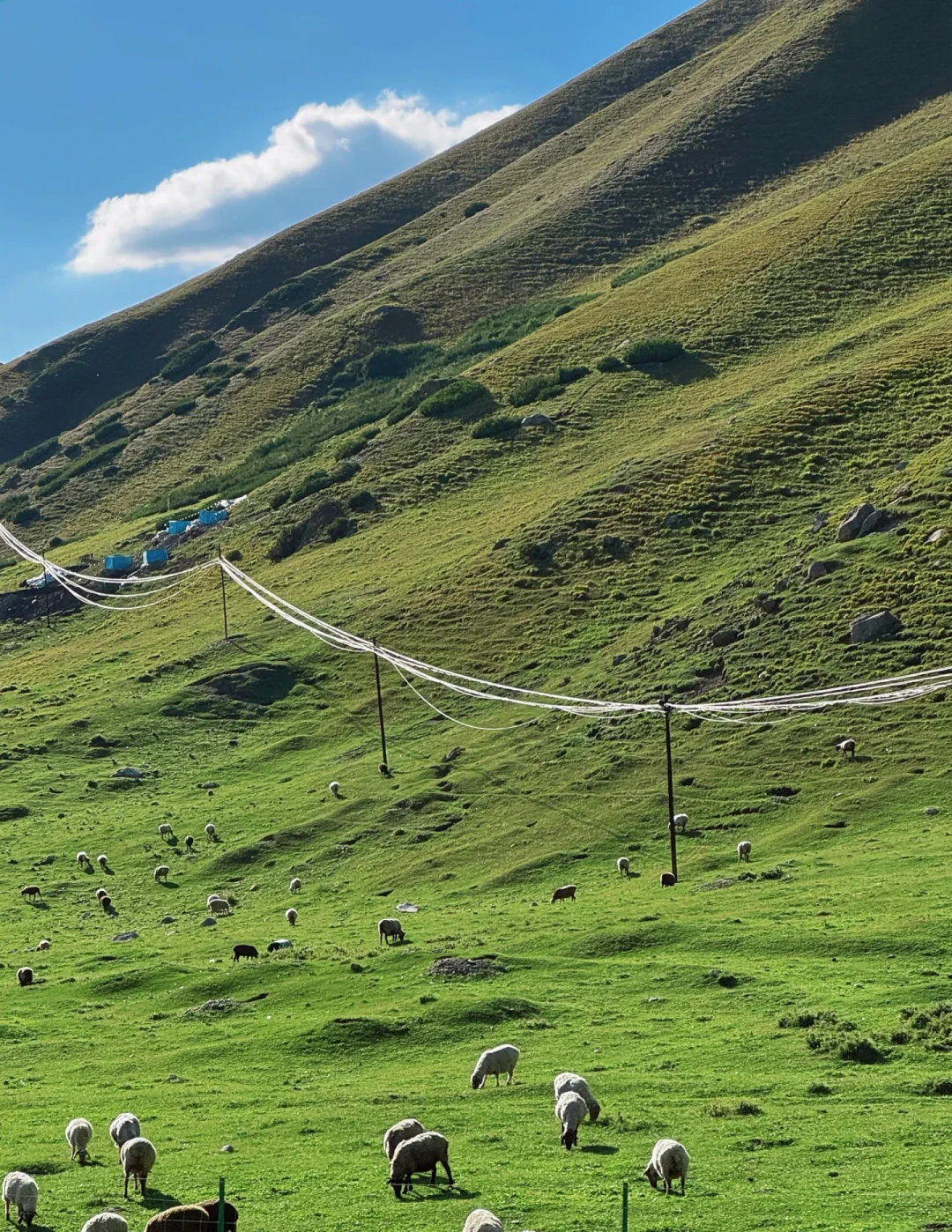 独库公路又全天封路,几千辆车被困山里:2026新规和绕行预案,进疆前先看一遍