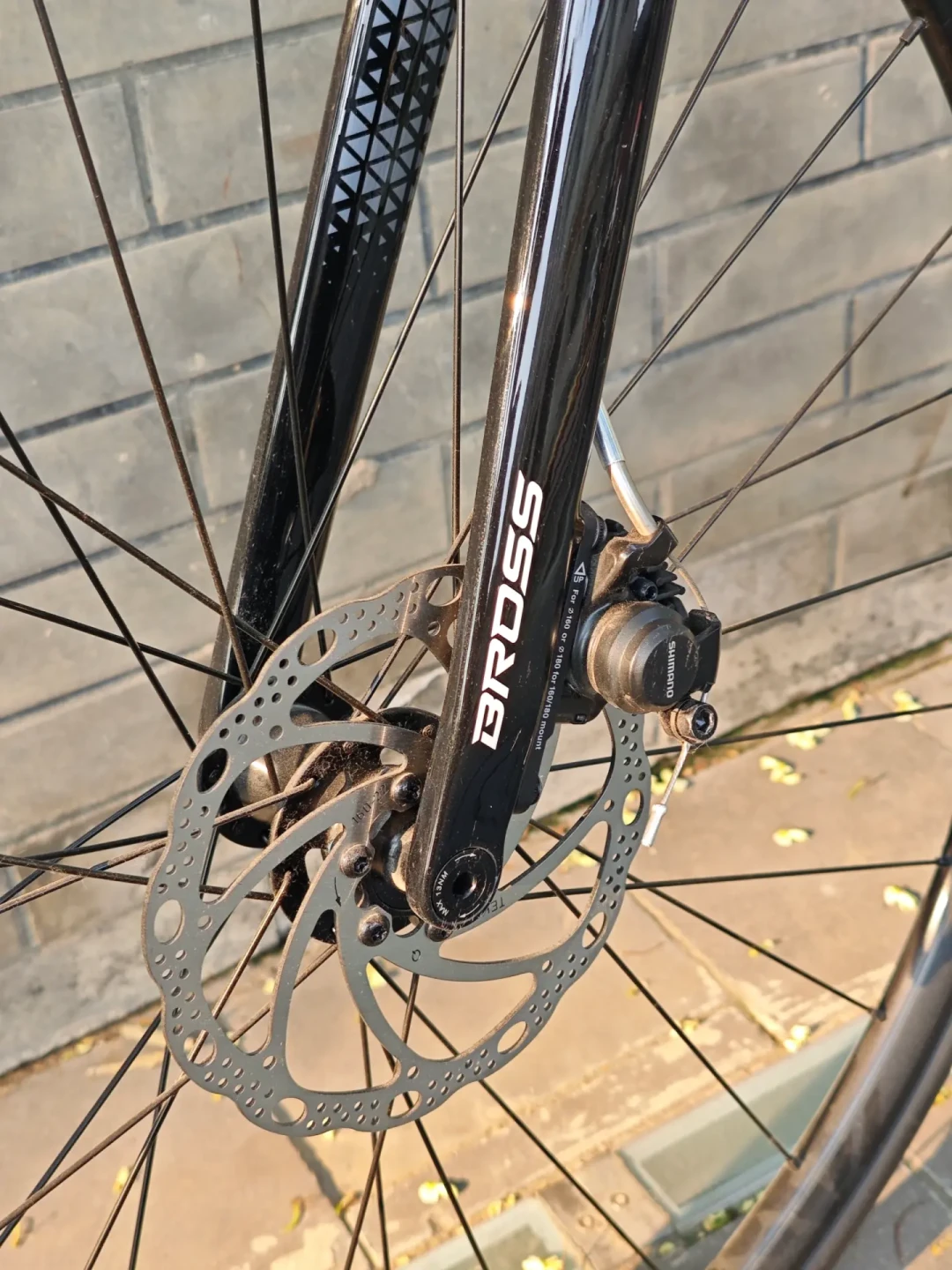 2000元铝架、3000元Tiagra、万元电变:把BROSS全系车型拆明白,再谈降价潮里怎么买