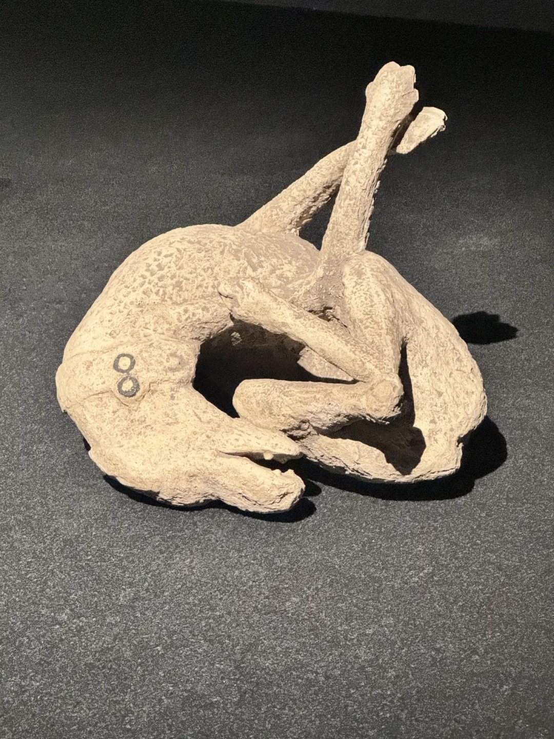 国博庞贝展只剩51天,120元的票到底值不值?真实口碑、避坑指南和隐藏玩法一次说清