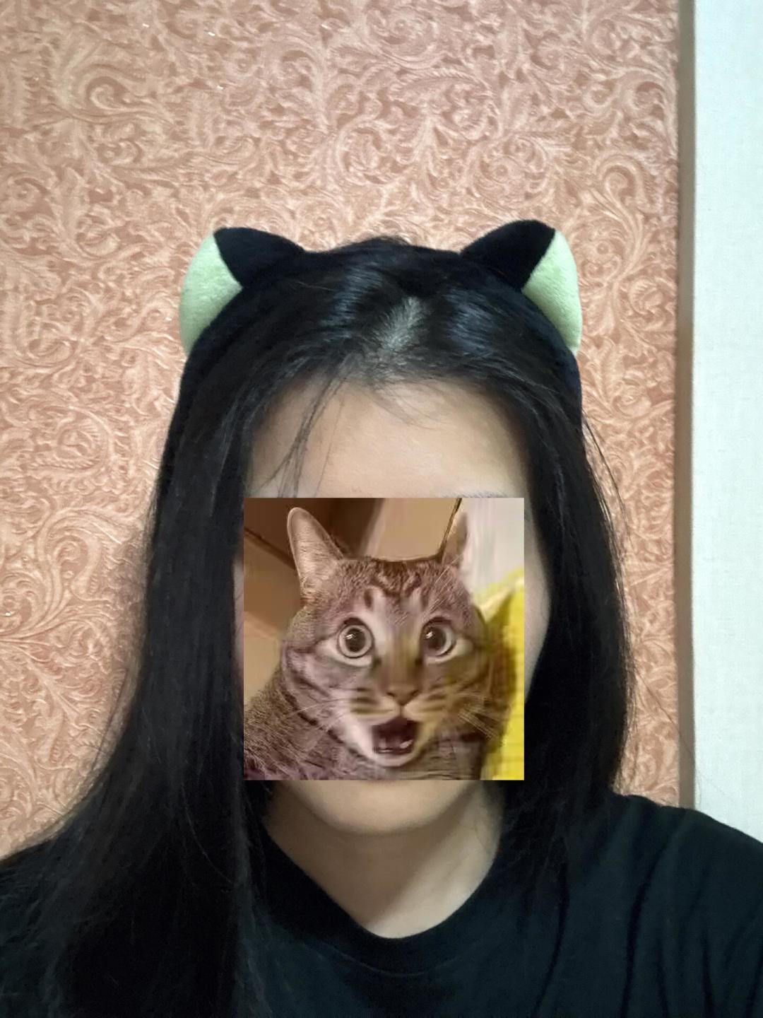 3万人蹲一副98元的猫耳:配齐一套