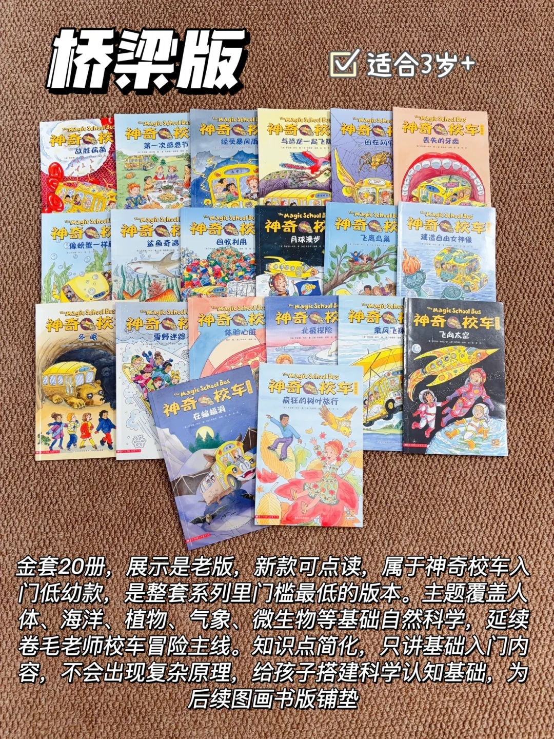神奇校车40岁了:旧版绝版、新版接棒,开学季怎么买不踩坑?