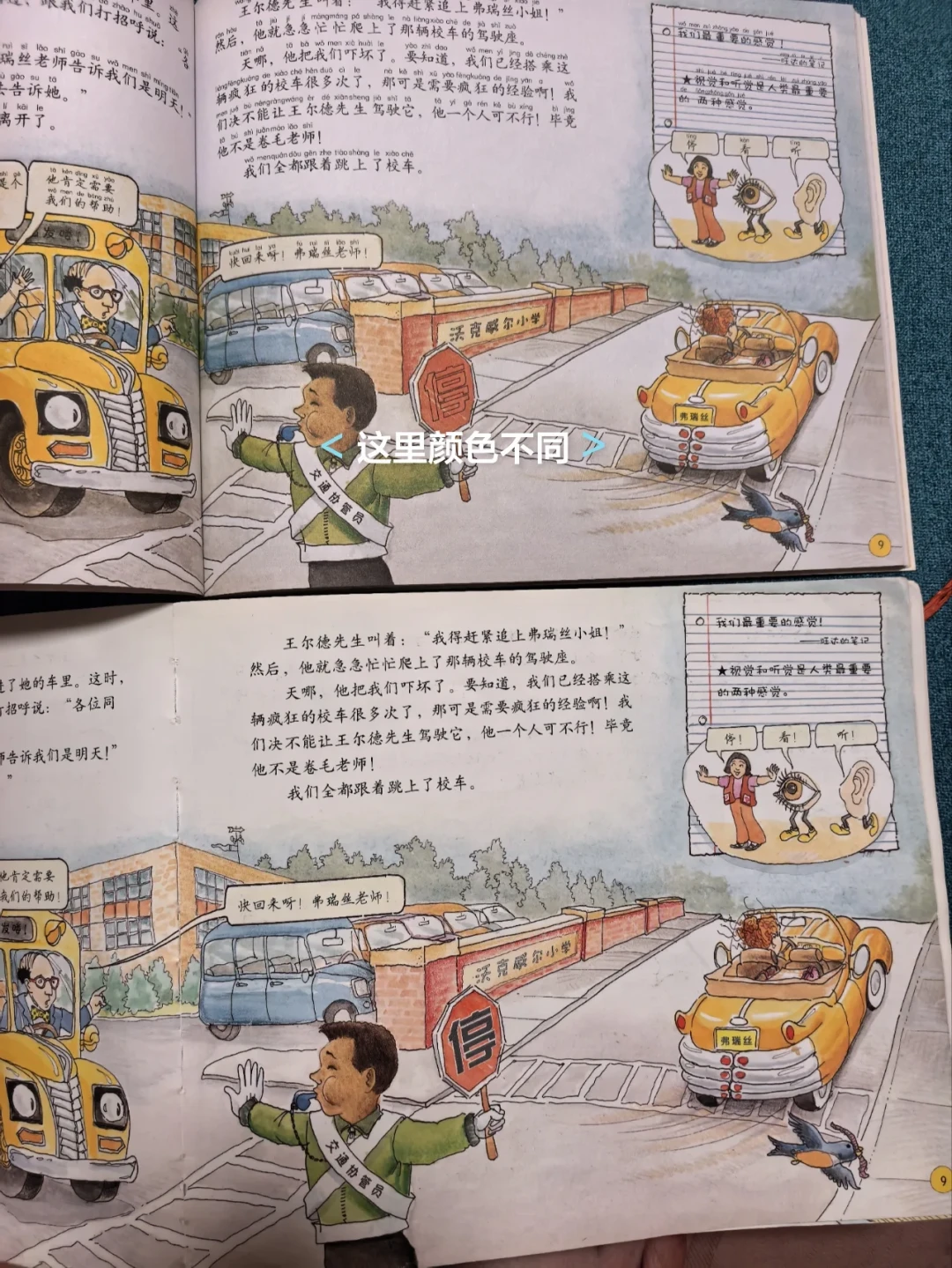 神奇校车40岁了:旧版绝版、新版接棒,开学季怎么买不踩坑?