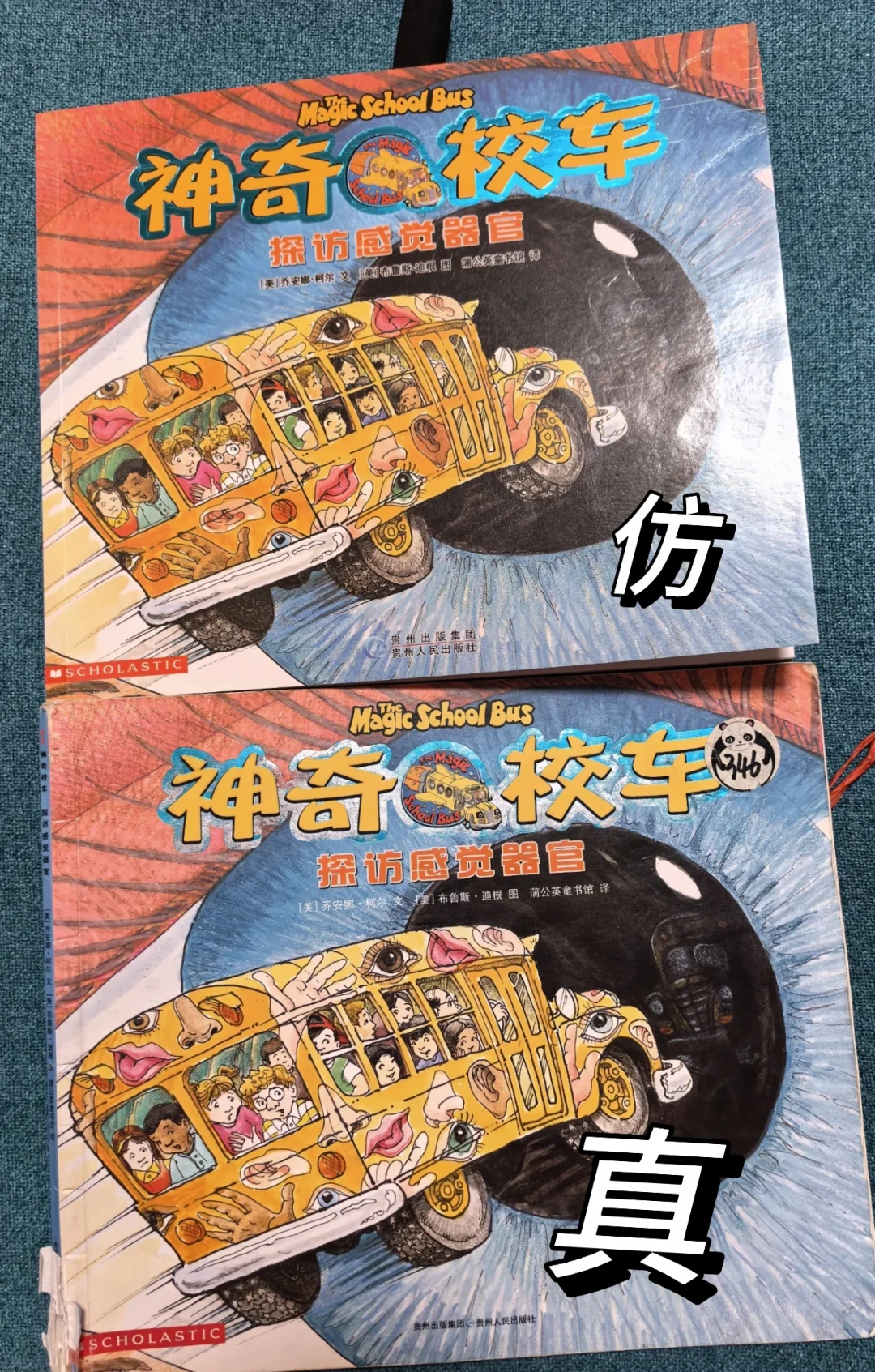 神奇校车40岁了:旧版绝版、新版接棒,开学季怎么买不踩坑?