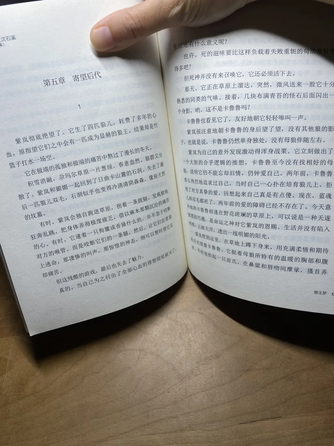 开学季给娃买沈石溪,别急着囤全集:入门顺序、适龄匹配和《狼王梦》版本差异,一文讲清