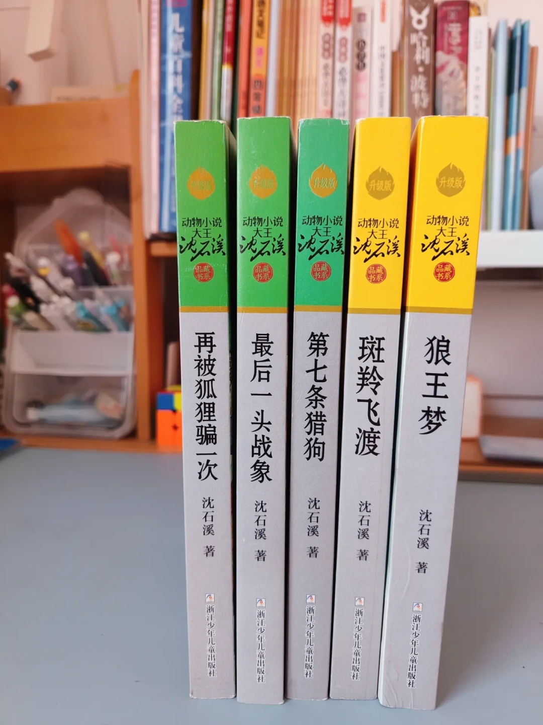 开学季给娃买沈石溪,别急着囤全集:入门顺序、适龄匹配和《狼王梦》版本差异,一文讲清