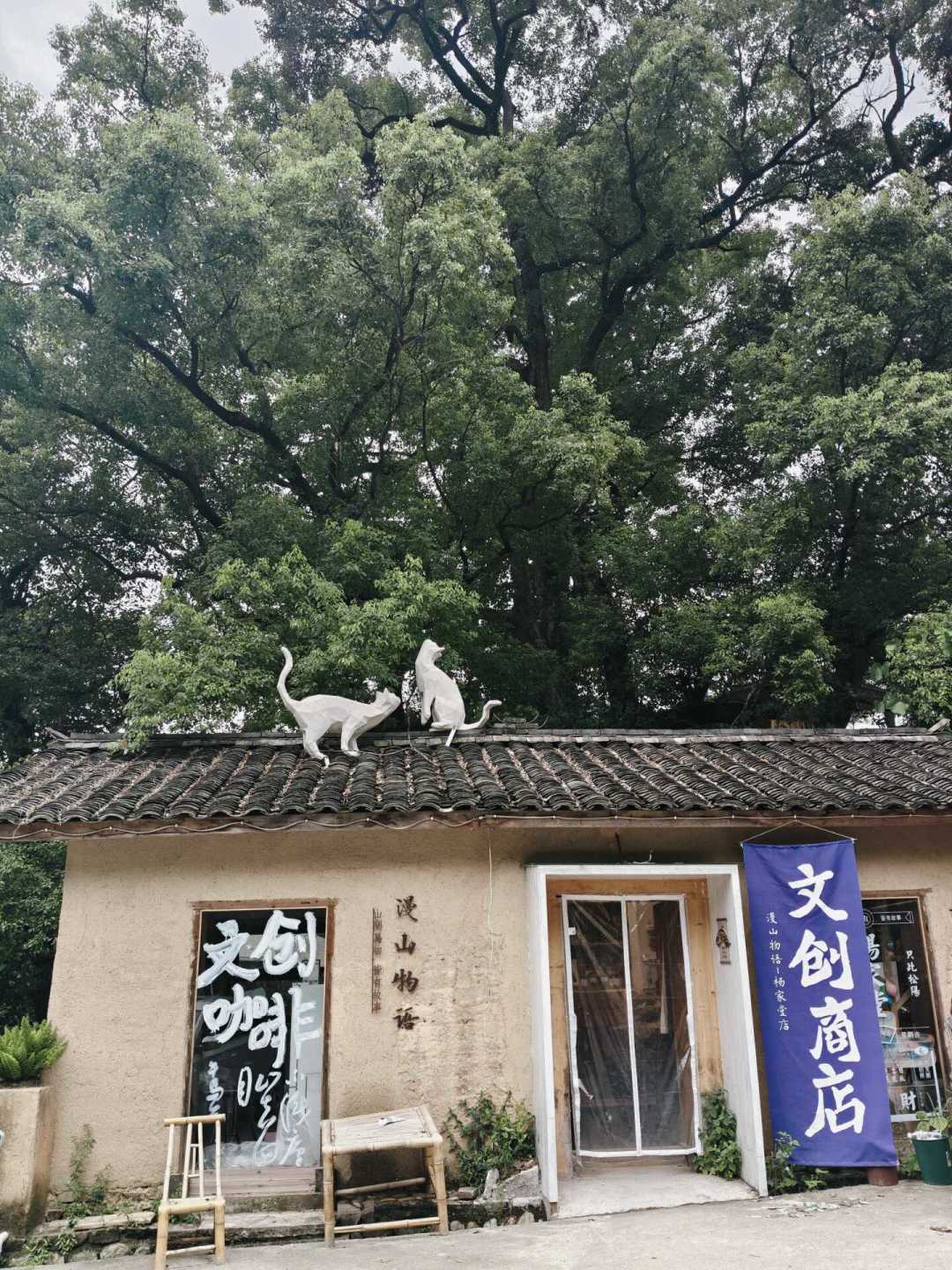 古镇逛腻了，去看一次“真古村”：拆解浙江松阳78个国家级传统村落，附秋季避坑清单