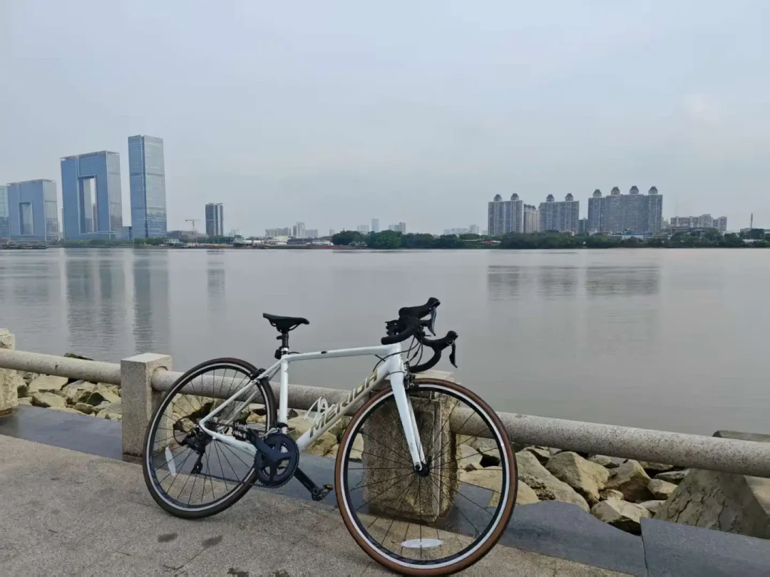 电变都打到3999元了,美利达入门公路车还是圈刹:2026年,只有三类人还该买美利达公路车