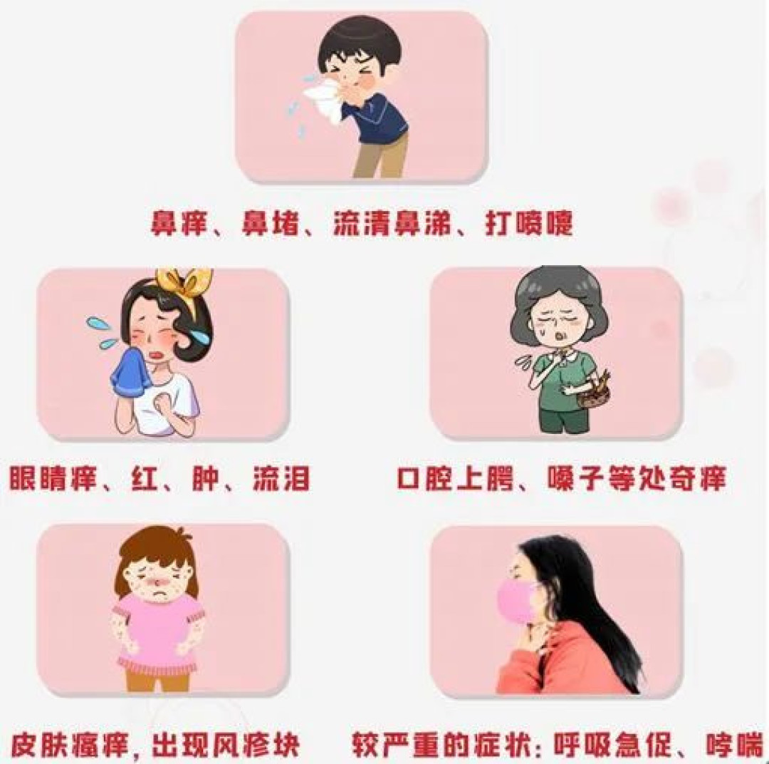 北方花粉季正式开局:抗过敏的药不贵,但坑不少——翻完疾控提示和协和的建议,该买啥、别买啥、哪些能救命,都给你理好了