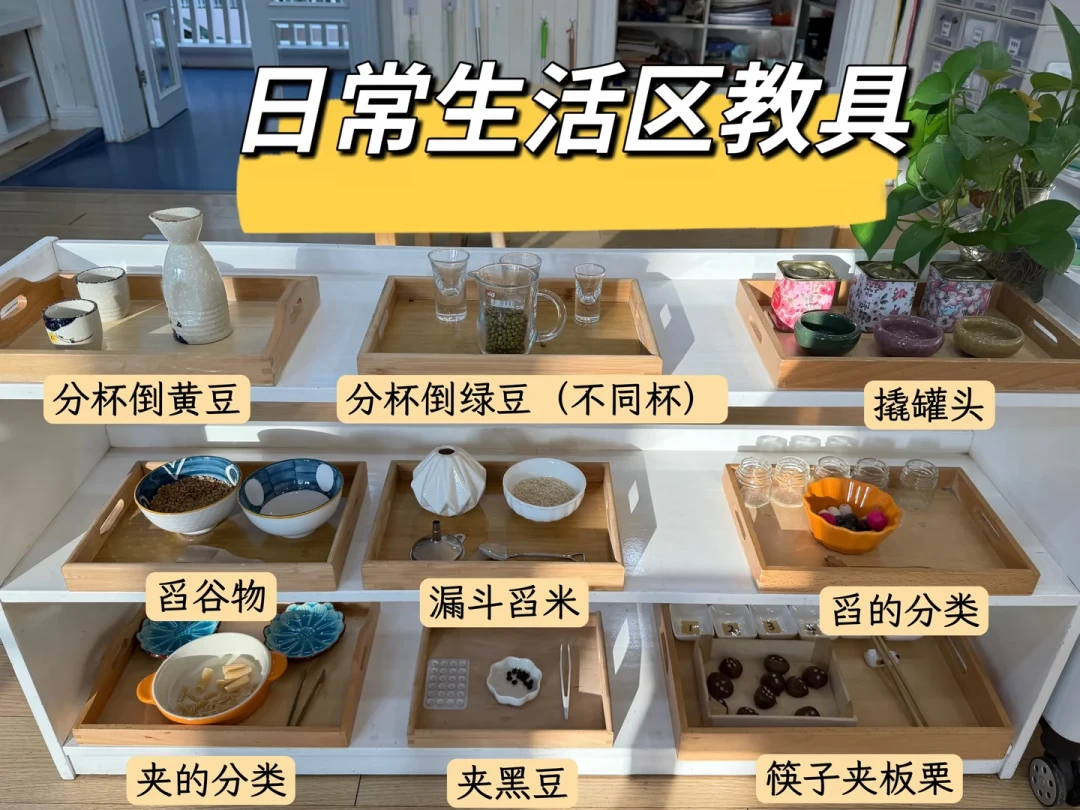 蒙氏幼儿园毕业上公立小学能适应吗？翻了评论区几百条真实反馈，发现两拨人吵的根本不是一件事