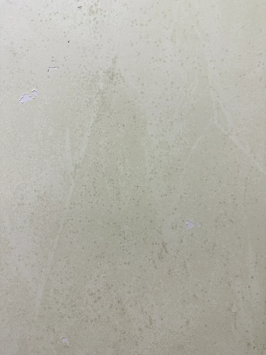 水退了回家,别急着进门就喷消毒液:翻完百色、广西、河南洪水的返乡经验帖和疾控提醒,6步顺序、分材质消毒液和0-200元花钱梯子整理好了