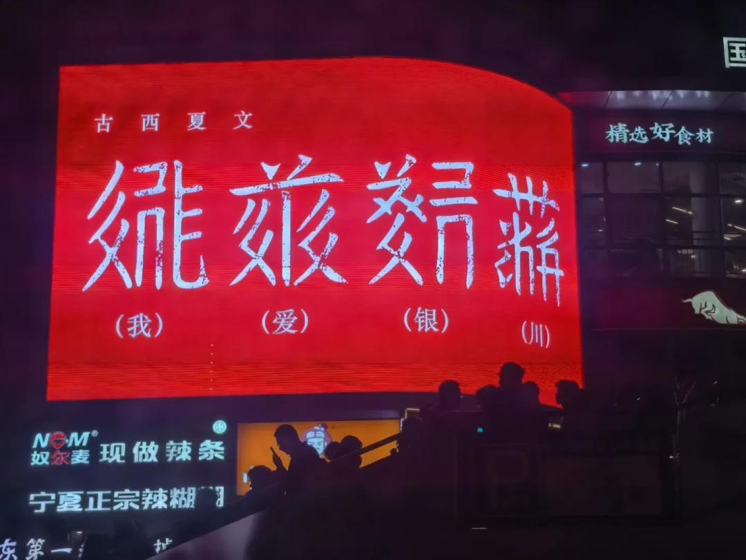看着像汉字,一个字不认识:西夏天书是怎么被一步步破译的,现在去哪看