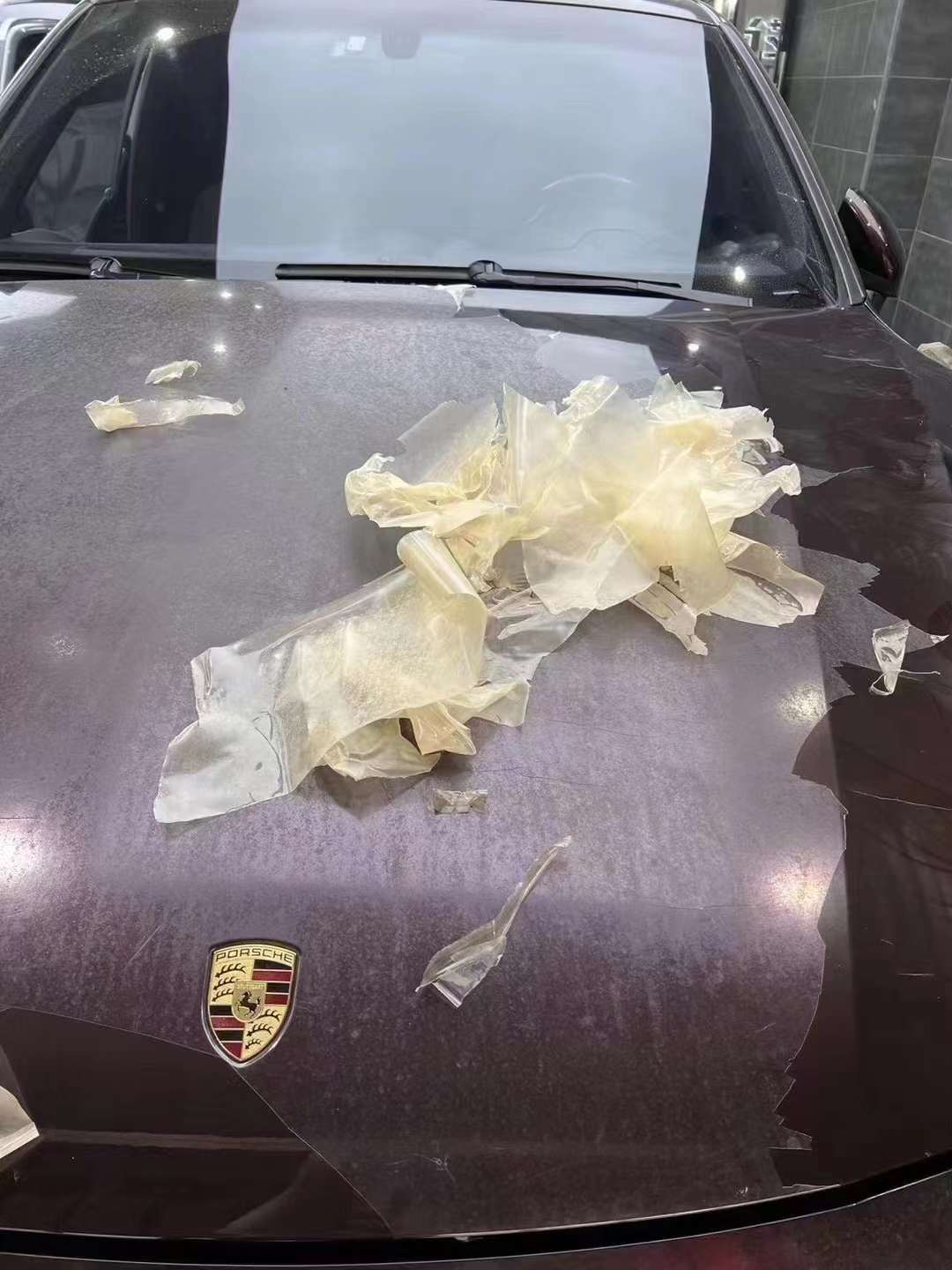 龙膜车衣撕膜留胶,客服