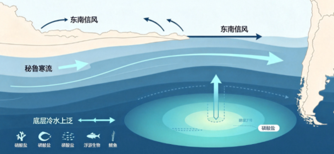 鱼油原料半年涨约170%，秘鲁无限期禁捕：常吃的人该不该囤？
