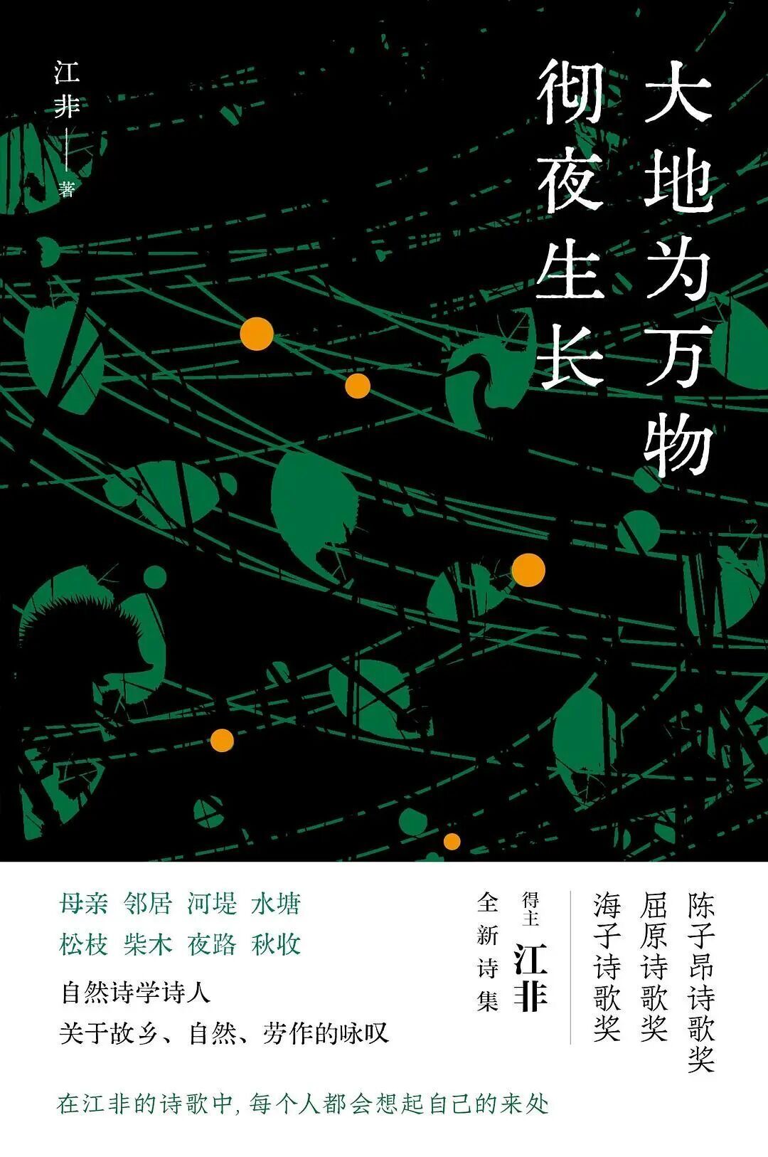 鲁奖诗歌奖一共5个得主,4个几乎没人提:出版社、风格、阅读门槛,都替你核对好了