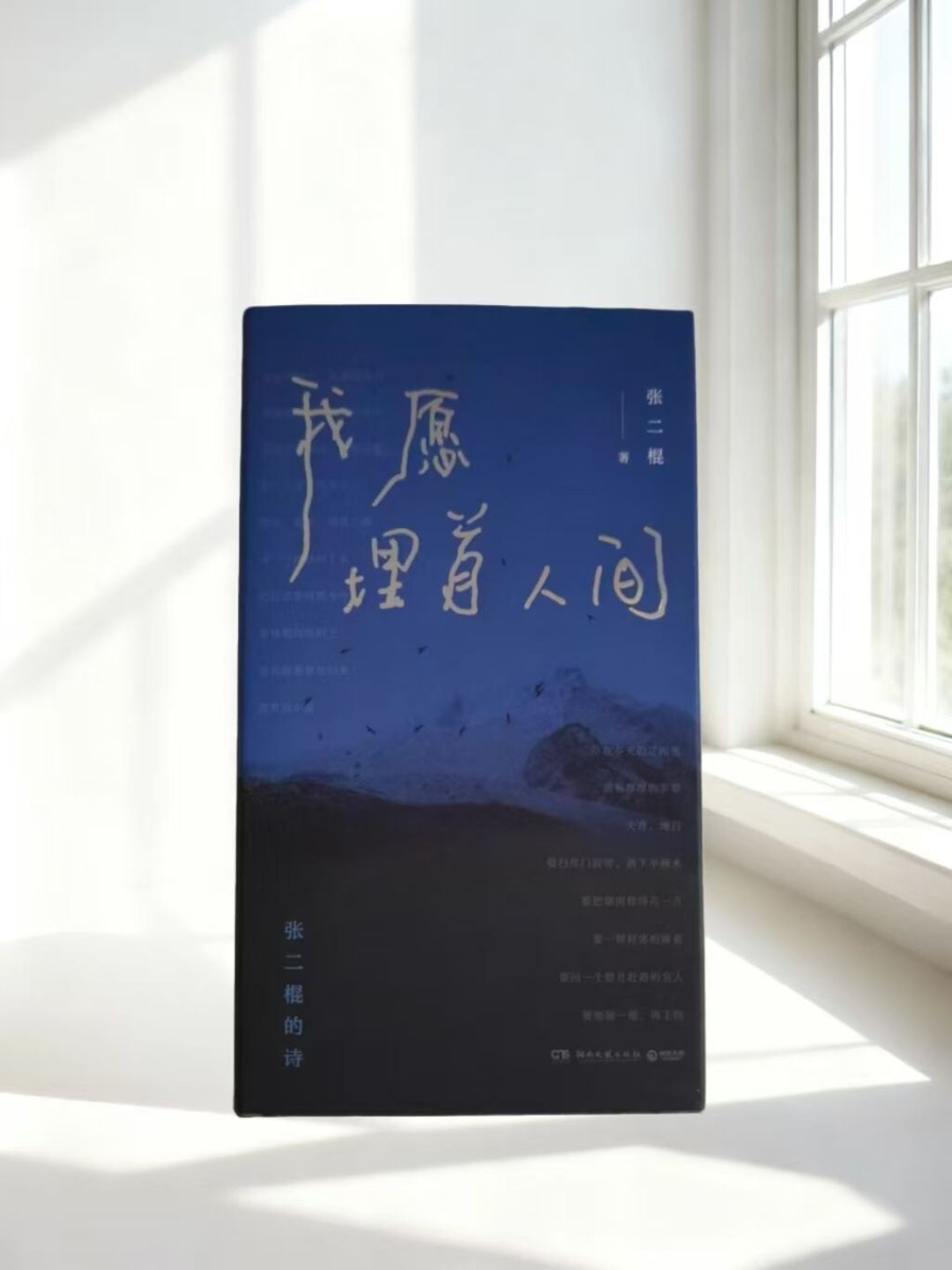 鲁奖诗歌奖一共5个得主,4个几乎没人提:出版社、风格、阅读门槛,都替你核对好了