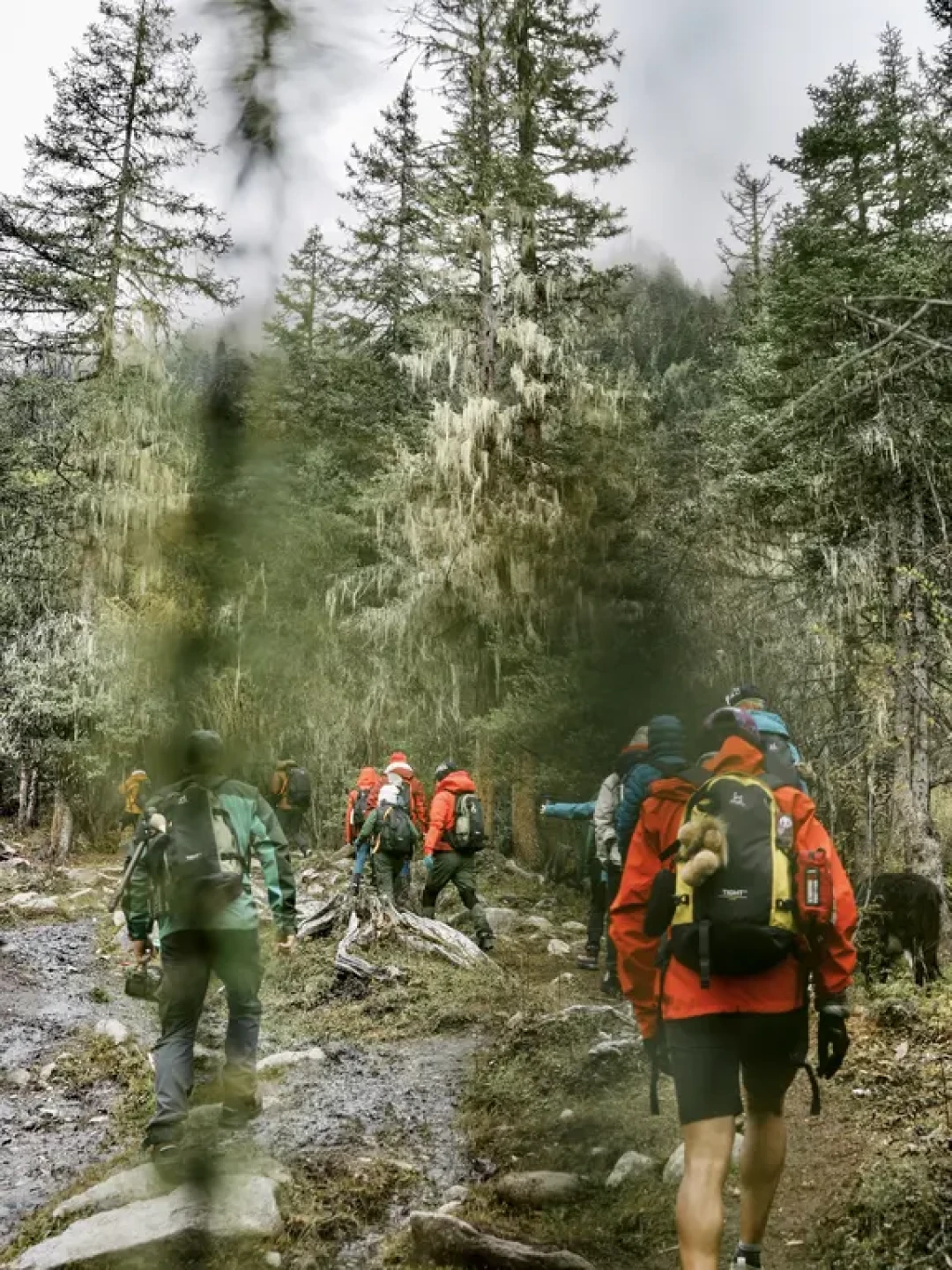 火柴棍云南行招募刷屏评论区,但先别急着报名:普通人真能参加的活动,都在这张地图里
