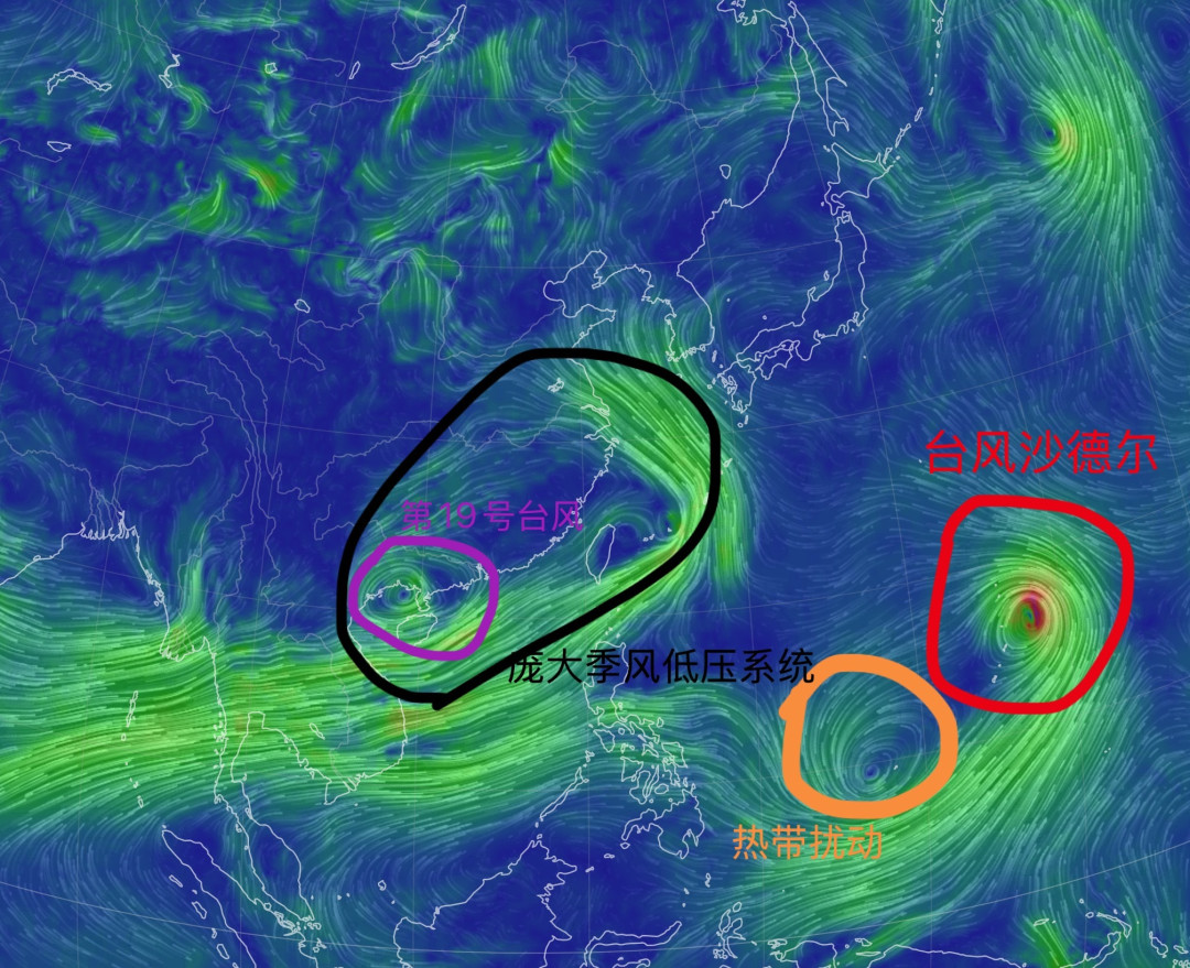 台风19号、18号接连夹击华南华东：电车到底能蹚多深的水？泡水后这4步决定你能赔多少