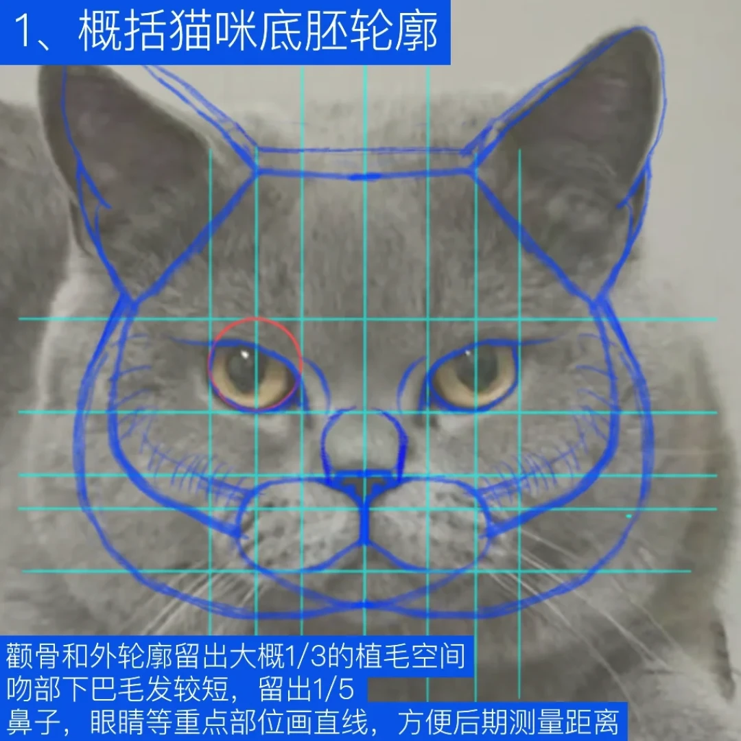 给离开的宠物定一只羊毛毡:有人“终于又能抱到它了”,有人开箱后再崩溃一次——付定金前,先看这份价位与避坑清单