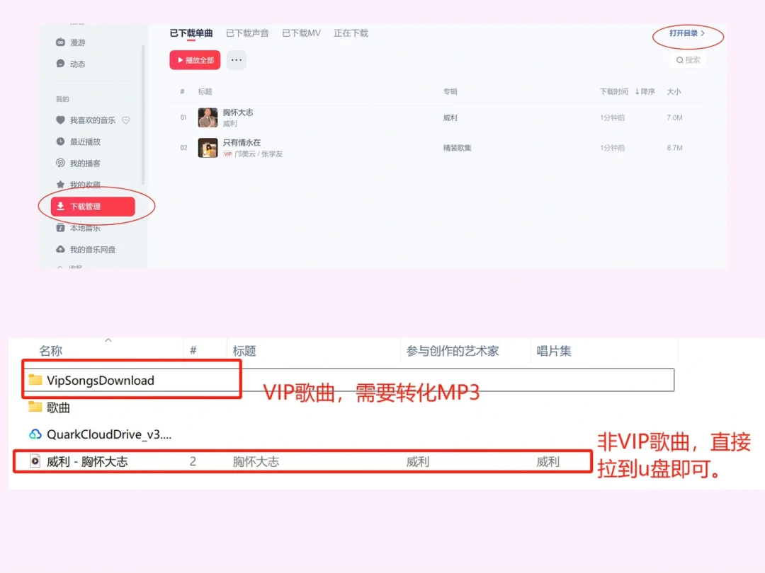充了黑胶下载的歌,插车上播不了?先别急着搜“NCM转MP3”,把这个格式搞清楚
