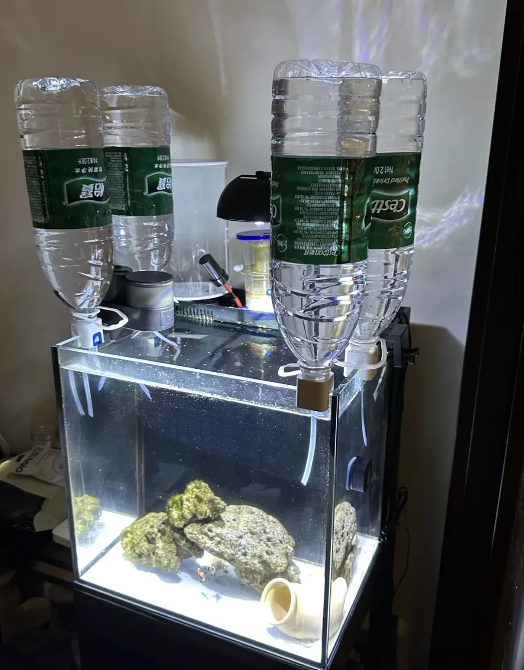 出差5天死6条鱼、缸水一天蒸发3升:高温出行季,缺的可能不是冷水机,而是补水器