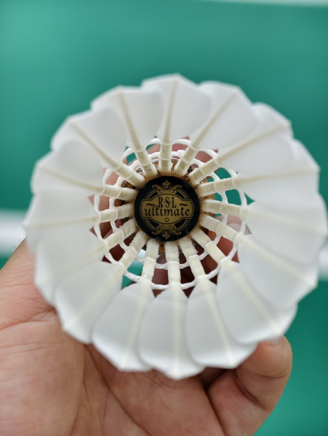 亚U降到185元一桶,大赛球能当日练吗?降价后的亚狮龙高端线怎么选,一次说清