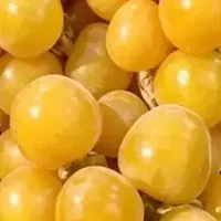 9月的水果很懂事，唯一的缺点：季节限定