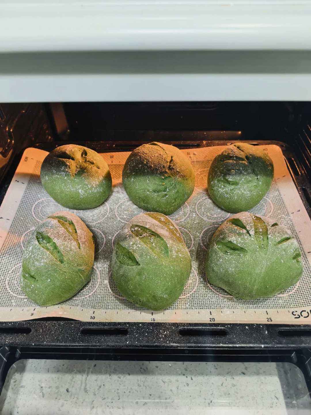 波兰种做出的抹茶软欧成品