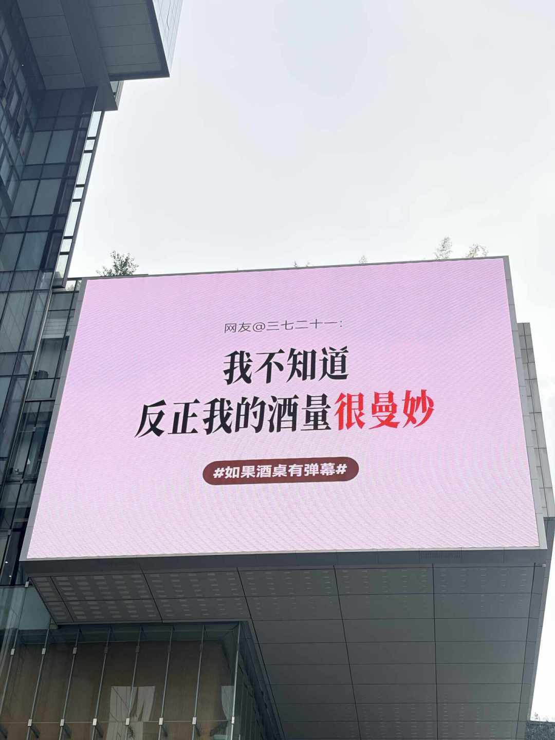舍得把年轻人的“酒桌真心话”打上成都大屏：刷屏是真的，中报的难也是真的，它赌的不是销量是“出场资格”