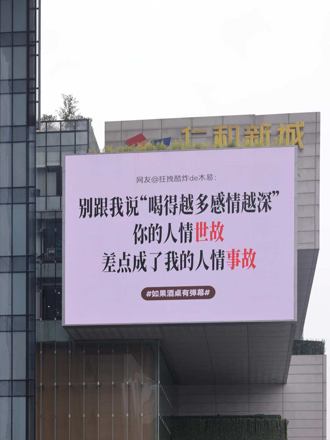 舍得把年轻人的“酒桌真心话”打上成都大屏：刷屏是真的，中报的难也是真的，它赌的不是销量是“出场资格”