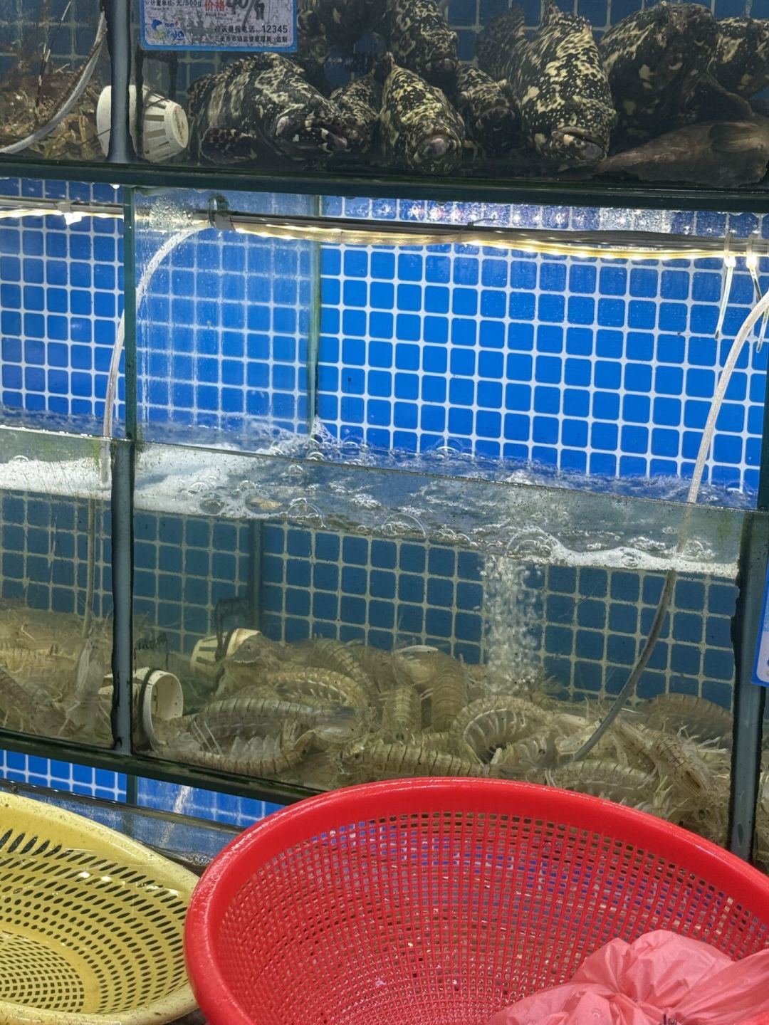 海南半年查处197件旅游乱象,8月海鲜宰客吐槽却没停:在三亚吃海鲜不被宰,记住这4件事