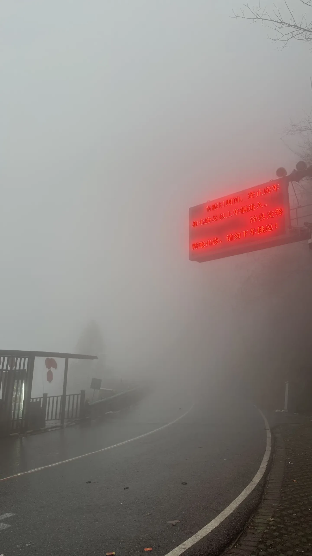 每10台新车7台带辅助驾驶,真用过的不到一成:两部强制国标落地前,山路上到底怎么用