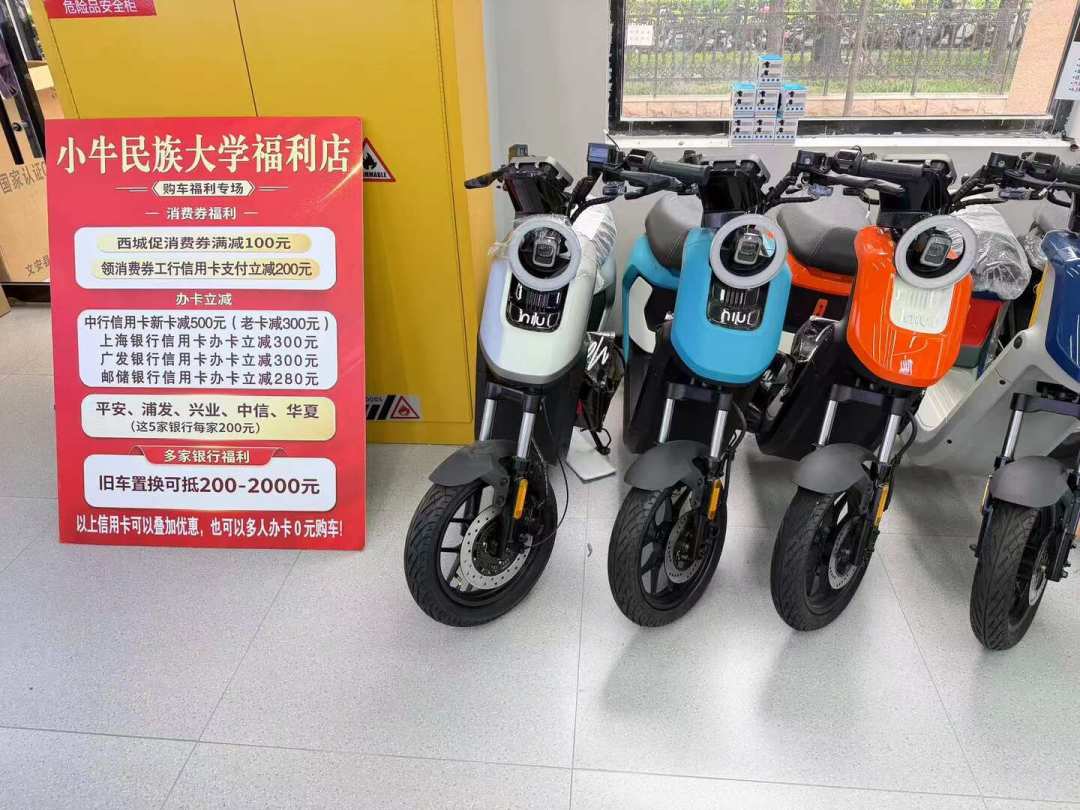 电动自行车国补退出，小牛却逆势降价：先把这张拼贴补贴地图看完，再决定怎么下单