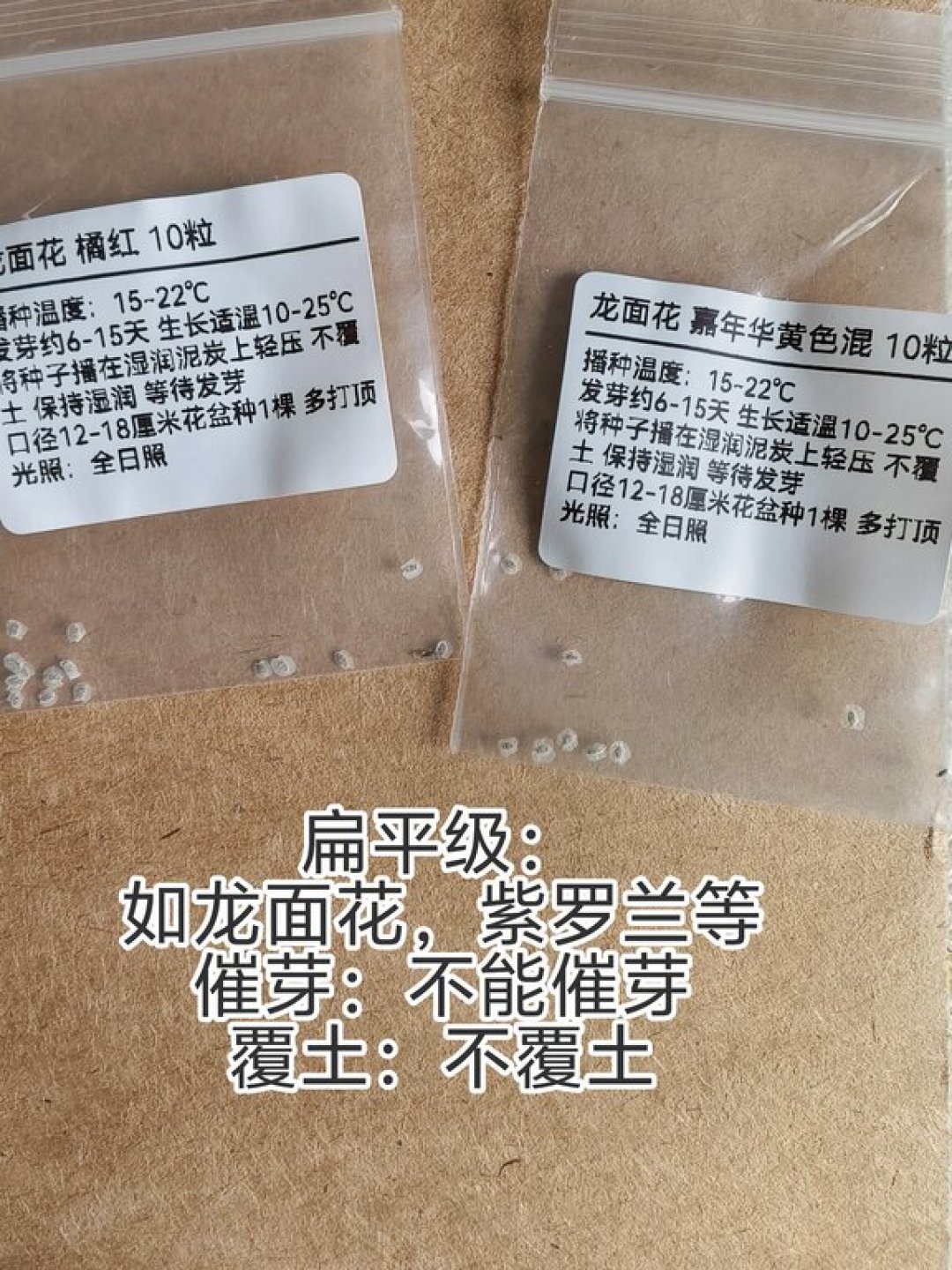 这周日处暑,秋播窗口真的开了:12种常见草花哪些这周能下种,先看完这张表