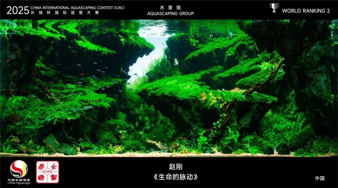 IAPLC结果刚出炉,长城杯报名9月15日截止:家里的草缸离参赛有多远