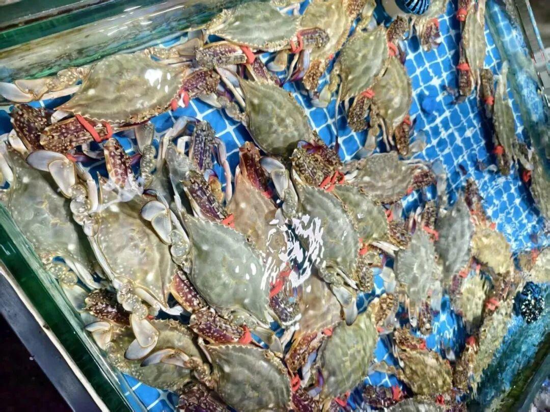 舟山梭子蟹每天到港2000多吨,等9月16日全面开渔更便宜?去年开捕后价格反而翻倍
