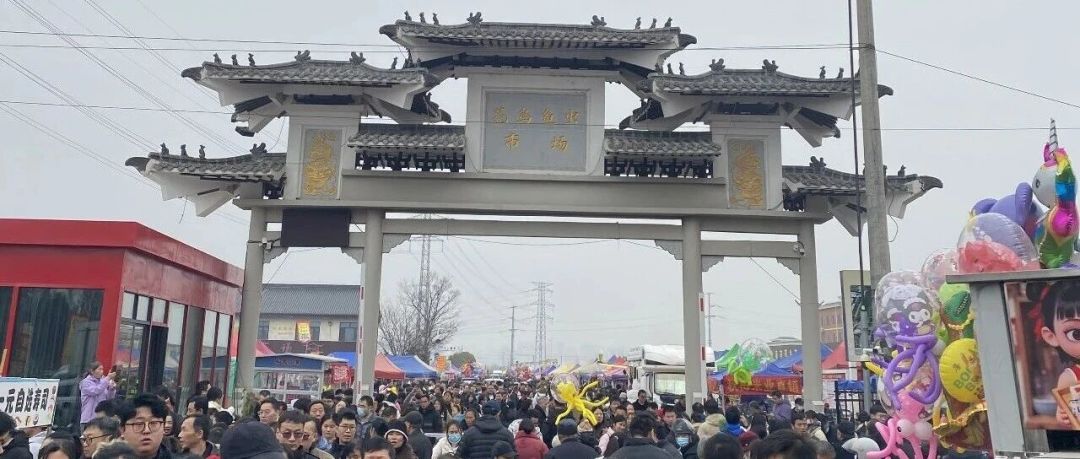 花260块买的狗，病了只退100：狗市那句